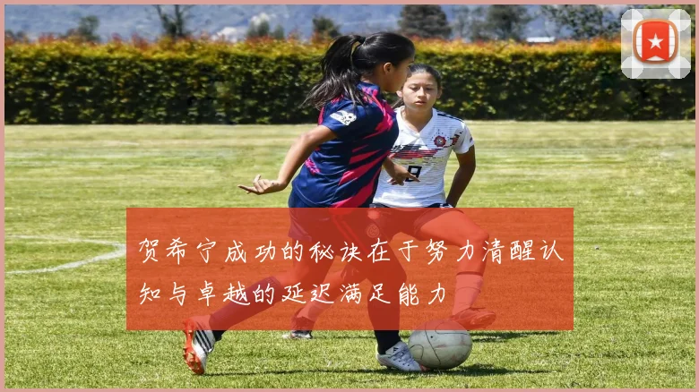 贺希宁成功的秘诀在于努力清醒认知与卓越的延迟满足能力