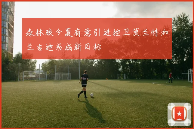 森林狼今夏有意引进控卫莫兰特加兰吉迪或成新目标